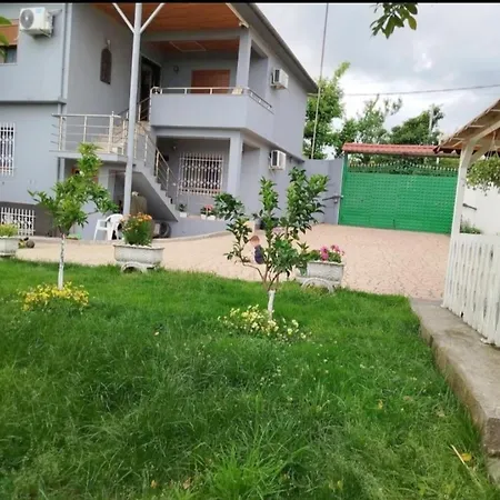 Miceli Tirana